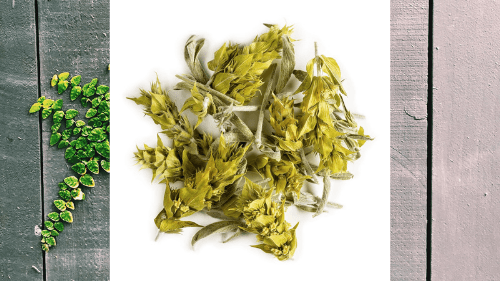 Tè Di Montagna - Menu Item