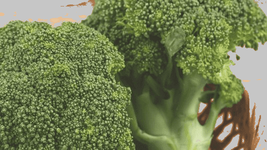 Broccoli - Menu Item
