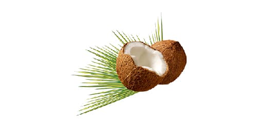 Noci Di Cocco - Menu Item