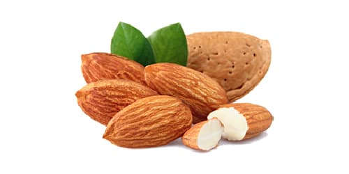 Mandorla - Menu Item