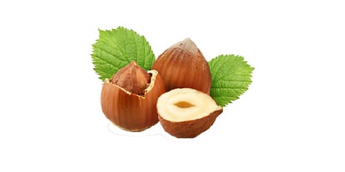 Nocciola - Menu Item